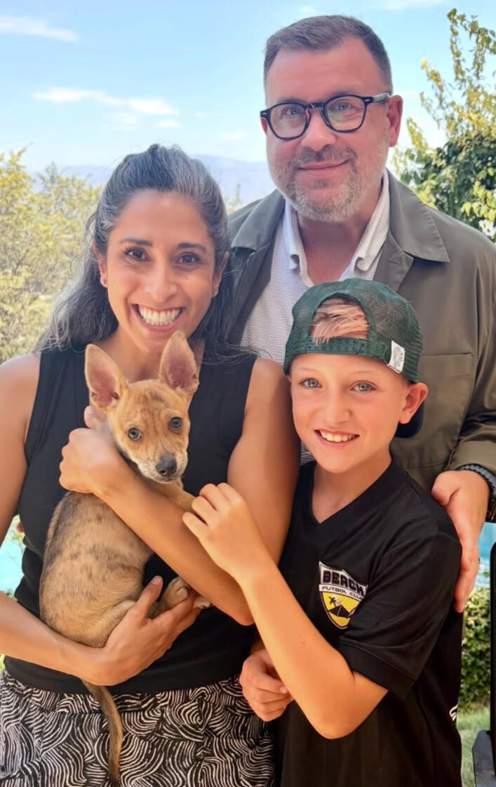 Quinn - ADOPTED!