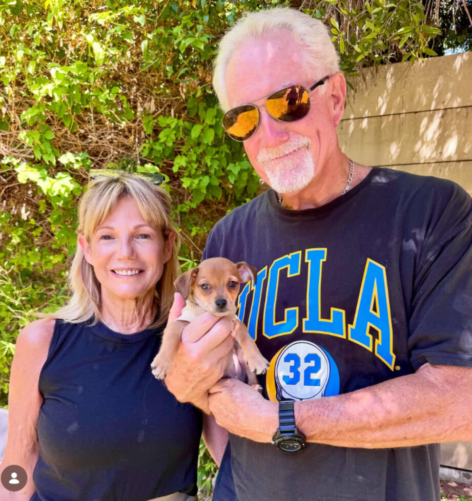 Harry - ADOPTED!