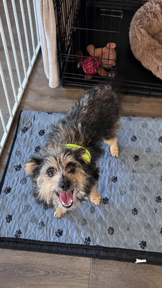Meet Burt!